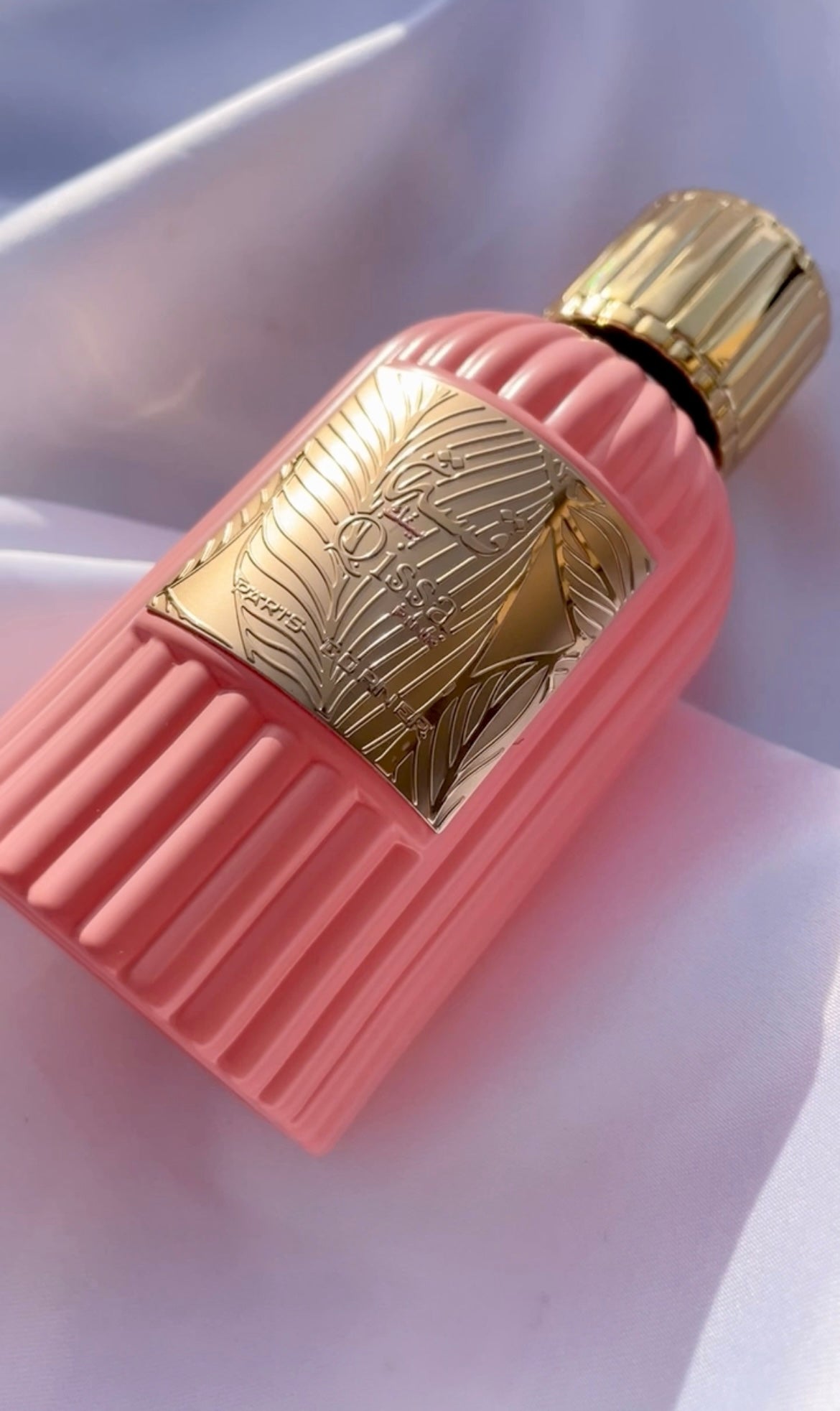 Qissa Pink - Paris Corner