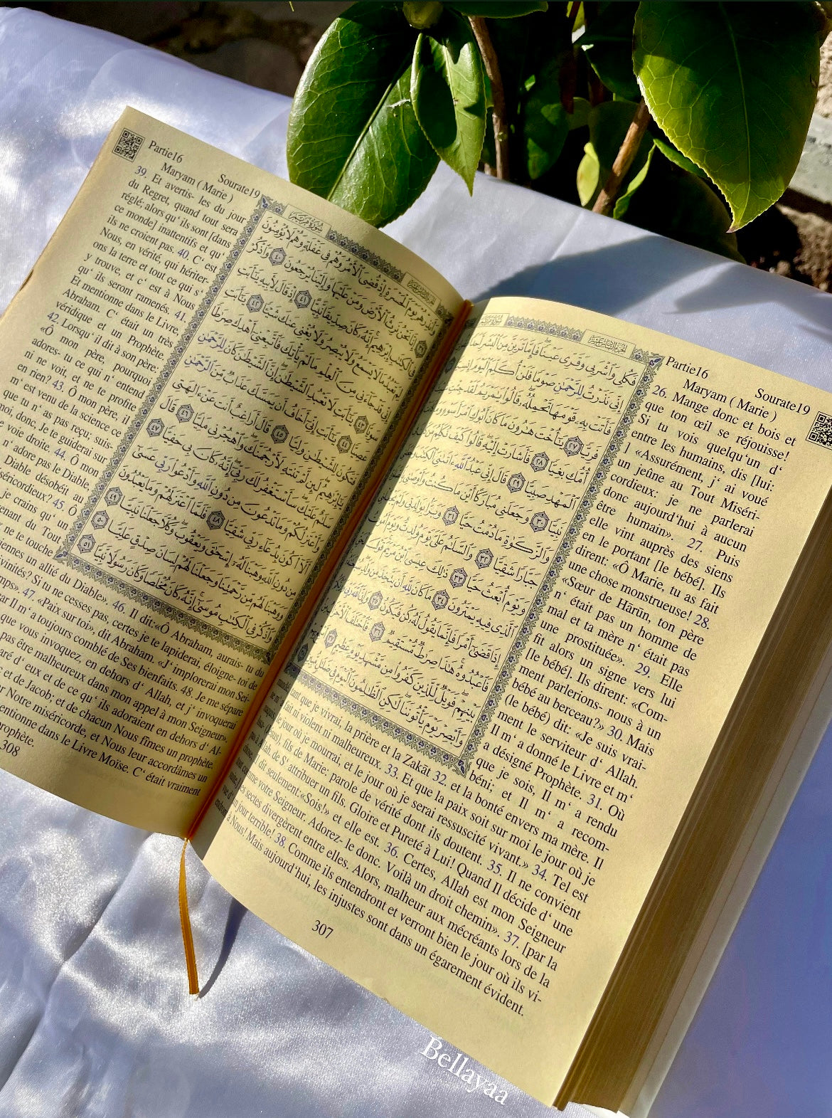 Coran Arabe/Français QR Code Bordures dorées - Rose