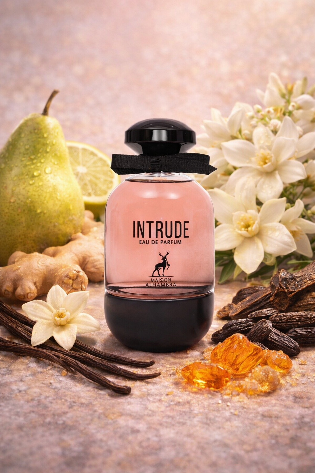 L'Intrude - Maison Alhambra